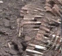 Mii de cartuşe din cele două războaie mondiale, descoperite în cetatea medievală din Târgu Mureş (VIDEO)