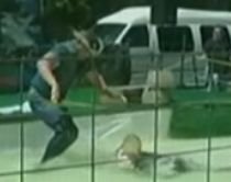 Dresor din Florida, atacat de un crocodil în timpul unui spectacol (VIDEO)