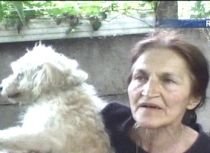 Reşiţa. Scandal provocat de o pensionară care a adunat zeci de câini într-un adăpost improvizat (VIDEO)