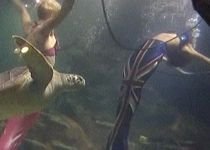Două "sirene", angajate la un acvariu din Londra (VIDEO)