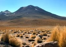 A nins în deşertul Atacama, pentru prima oară în ultimii cinci ani