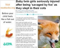 Doi bebeluşi au fost sfâşiaţi de o vulpe în timp ce dormeau 