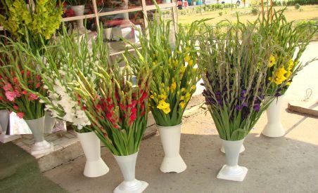Inspectorii ANAF au început controalele în pieţe şi florării
