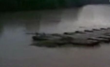 Un bărbat a plutit în derivă 15 km pe un pod luat de apele Mureşului (VIDEO)
