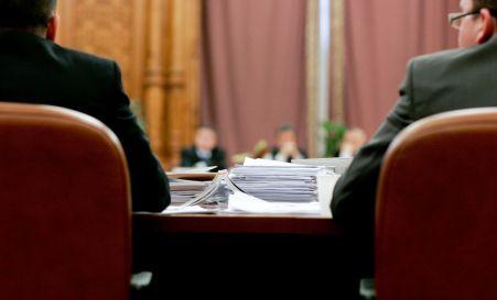 Comisiile juridice au eliminat din Legile de austeritate articolele declarate neconstituţionale 