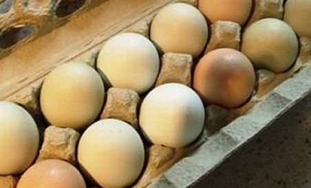  UE vrea să interzică vânzarea alimentelor "la pachet". Vom cumpăra ouă la kilogram?