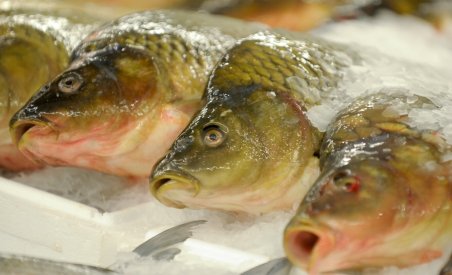 Peşte cu viermi, la un magazin din Braşov. Firma a fost amendată cu 15.000 de lei