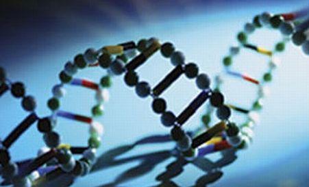  Cercetătorii au descoperit genele care indică cine trăieşte 100 de ani