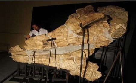 Fosila unui monstru marin descoperită în Peru