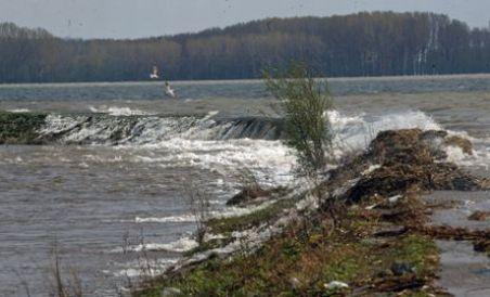 Dunărea a ieşit din matcă la Feteşti. Cota de inundaţie pe Braţul Borcea, depăşită cu 77 cm (VIDEO)