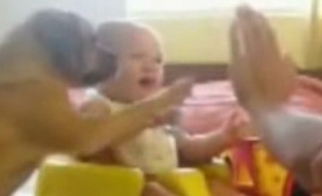 Un bebeluş şi un câine învaţă să bată palma (VIDEO)