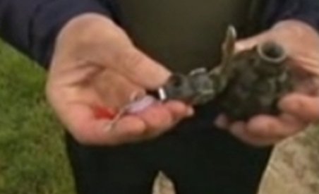 Grenade în stare activă, descoperite într-o gospodărie din Harghita