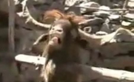 Interviu de tot râsul: Un turist este scuipat de o capră ibex după ce îi cere o părere despre guvernul Zapatero (VIDEO)