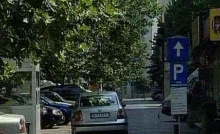 Firma de parcări Dalli, controlată de Udrea şi Cocoş, în lichidare