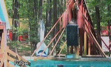 Fulger, calul campion la sărituri în piscină (VIDEO)