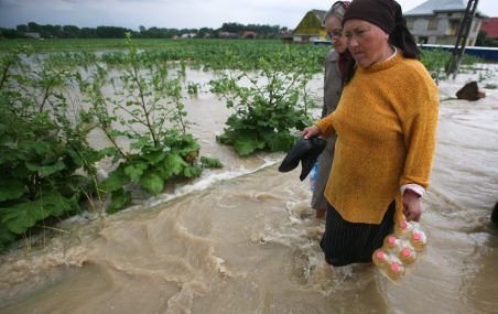 Executivul dă bani pentru amenajarea de spaţii verzi în zonele afectate de inundaţii