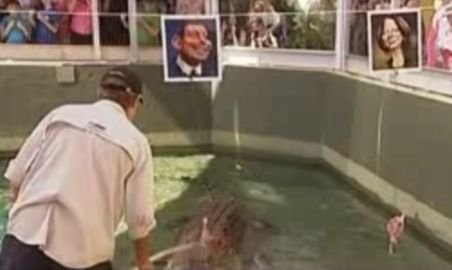 Crocodilul Harry, varianta politicianistă din Australia a caracatiţei Paul (VIDEO)