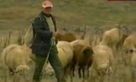 Bulgaria. Un cioban, suspectat că suferă de antrax al pielii (VIDEO)