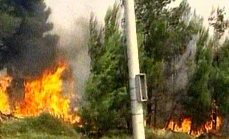 Un incendiu de pădure a distrus 30 de case în sudul Turciei