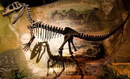 Balaurul Bondoc: O nouă specie de dinozaur, descoperită în România