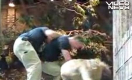 Los Angeles: Dresor atacat de leul pe care îl coordona (VIDEO)