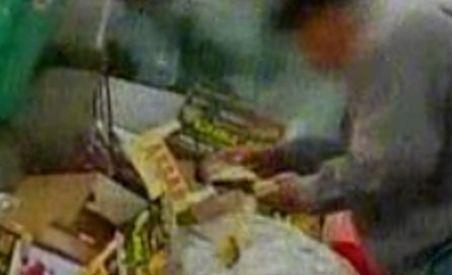 Imagini impresionante: Bătrân filmat în timp ce răscolea gunoiul în căutare de mâncare (VIDEO)
