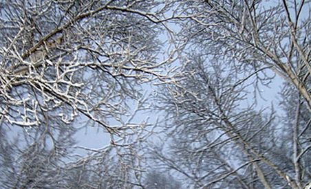 La Braşov au căzut primii fulgi de zăpadă. În Bucureşti, mai frig decât în capitalele nordice (VIDEO)