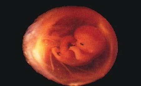 Copil conceput dintr-un embrion vechi de 20 de ani, în SUA (VIDEO)