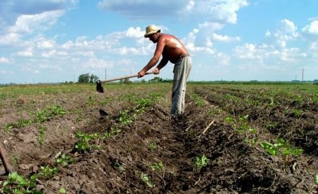 Agricultorii români îşi comercializează produsele pe internet