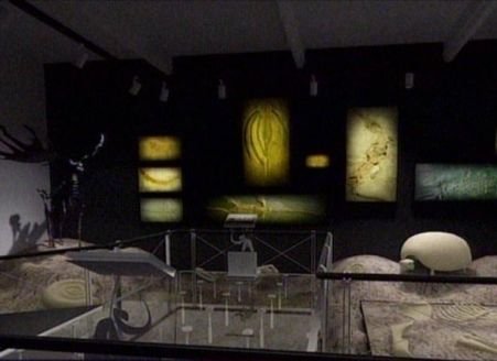 Filme 3D, infotouch-uri şi cafenea culturală la Muzeul Antipa, din primăvara 2011