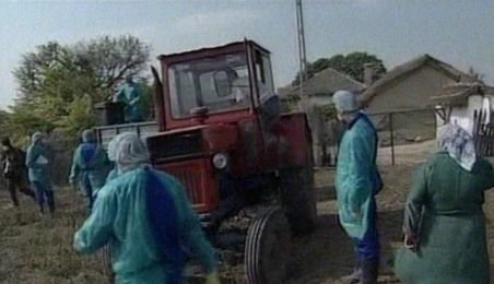 Virusul gripei aviare, descoperit în Delta Dunării. Tulpina nu este periculoasă pentru om