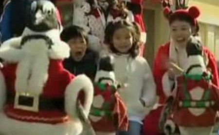 Pinguini îmbrăcaţi în Moş Crăciun, la o grădină zoologică din Coreea de Sud