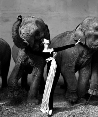 O fotografie realizată de Richard Avedon, licitată pentru 841.000 de euro 82475