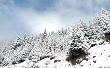 A început să ningă la munte: În Parâng, stratul de zăpadă măsoară 10 centimetri