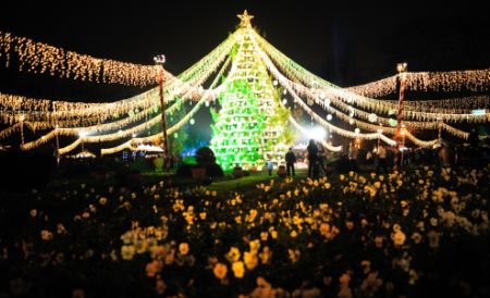 Primarii vor cheltui sute de mii de euro pentru decoraţiunile de Crăciun