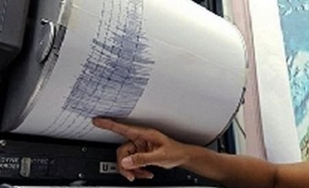 Un cutremur puternic a zguduit Japonia