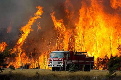 Incendiile de vegetaţie au distrus 350 de hectare în Australia