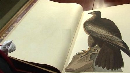 Birds of America – cea mai scumpă carte din lume: S-a vândut cu 10 milioane de dolari