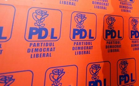 Primarii PD-L folosesc ajutoarele de la UE în campania electorală: Şi-au pus ştampila pe alimentele pentru săraci