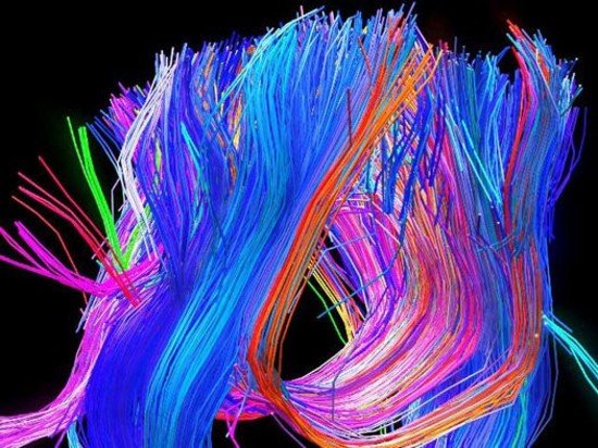 Hartă a creierului, creată de cercetătorii din cadrul Proiectului Human Connectome