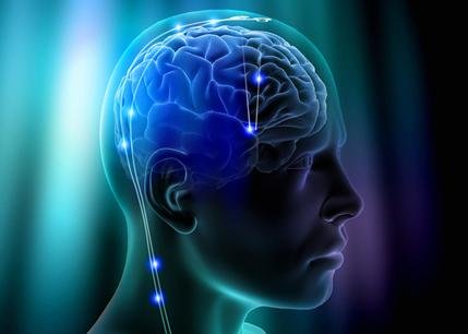 Studiu: Creierul uman se micşorează