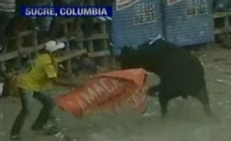 Coride sângeroase: 50 de toreadori amatori au fost răniţi în Columbia