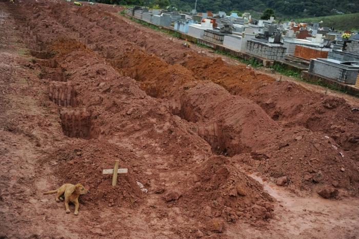 Un câine refuză să plece de lângă mormântul stăpânei sale, moartă în inundaţiile din Brazilia  86381
