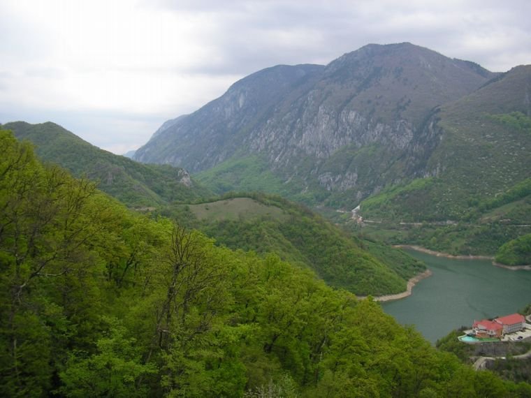 Rewilding Europe: Proiecte de mediu din Munţii Carpaţi şi Delta Dunării, susţinute de Loteria Olandei