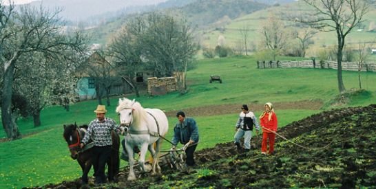 Oltenii din Horezu, cei mai longevivi români