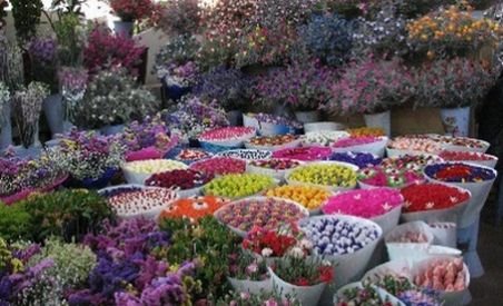 În prag de opt martie, florarii se plâng că românii nu mai cumpără flori ca în anii trecuţi