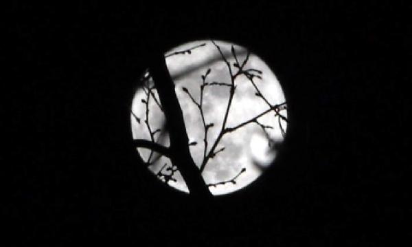 Super Luna în imagini: Cum s-a văzut ineditul fenomen astronomic 90921