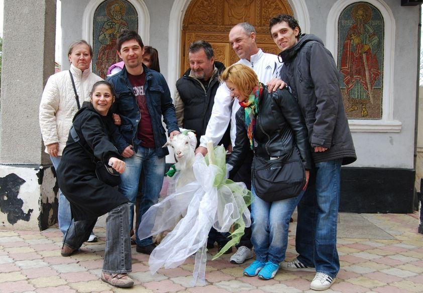 Capra Be-ZU şi porcul ZUrli, nişte răsfăţaţi 92230