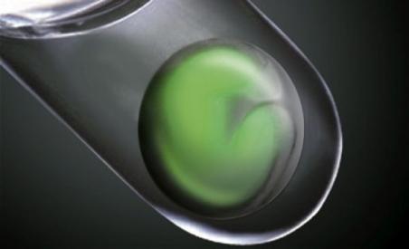 Oamenii de ştiinţă au creat un &quot;ochi embrional&quot; într-o eprubetă