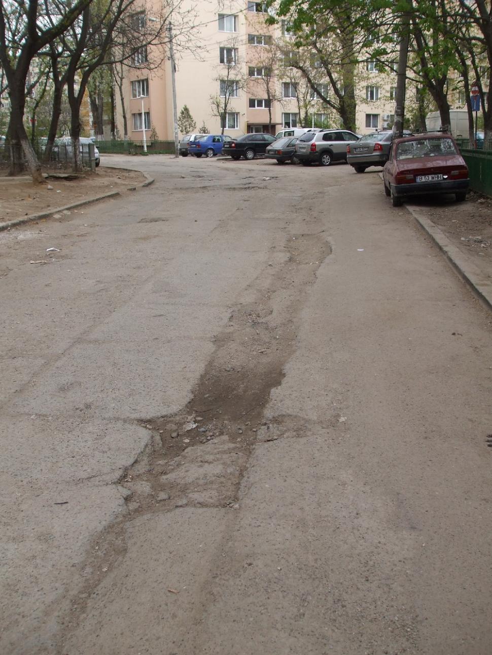 Strada Garoafei din Bucureşti, drum de ţară în capitală europeană 92914